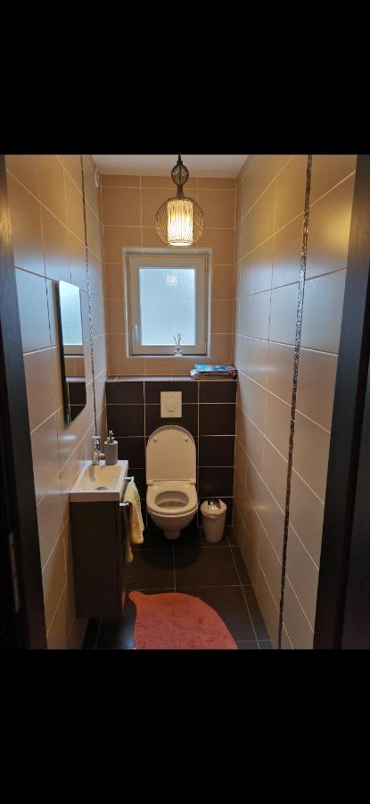 Chez Manu Apartment Voellerdingen Ngoại thất bức ảnh