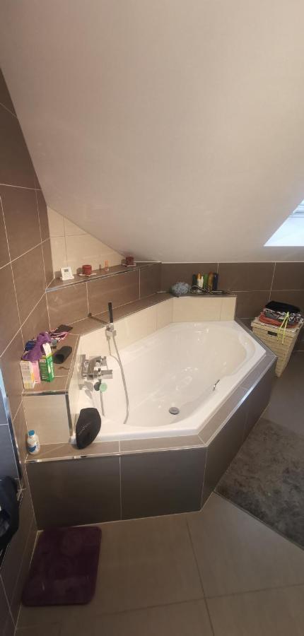 Chez Manu Apartment Voellerdingen Ngoại thất bức ảnh