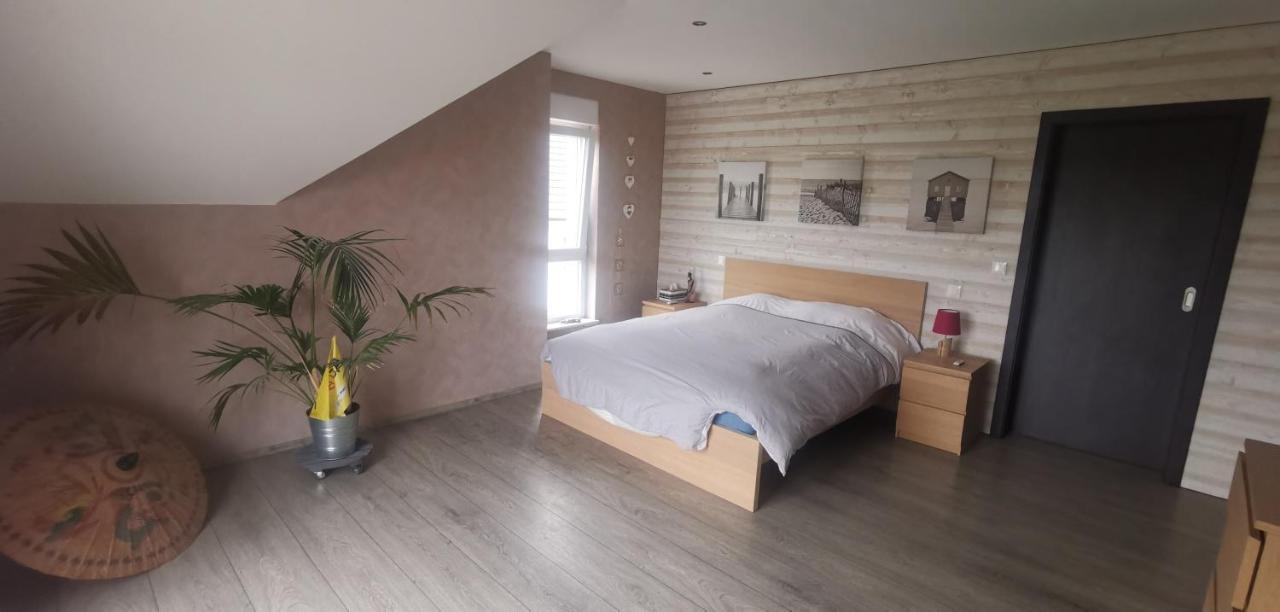 Chez Manu Apartment Voellerdingen Ngoại thất bức ảnh